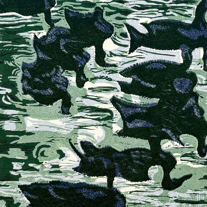10. Darkest Ducks