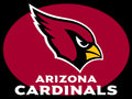 Cardinal Flag USA Diamond Painting Kit - DIY