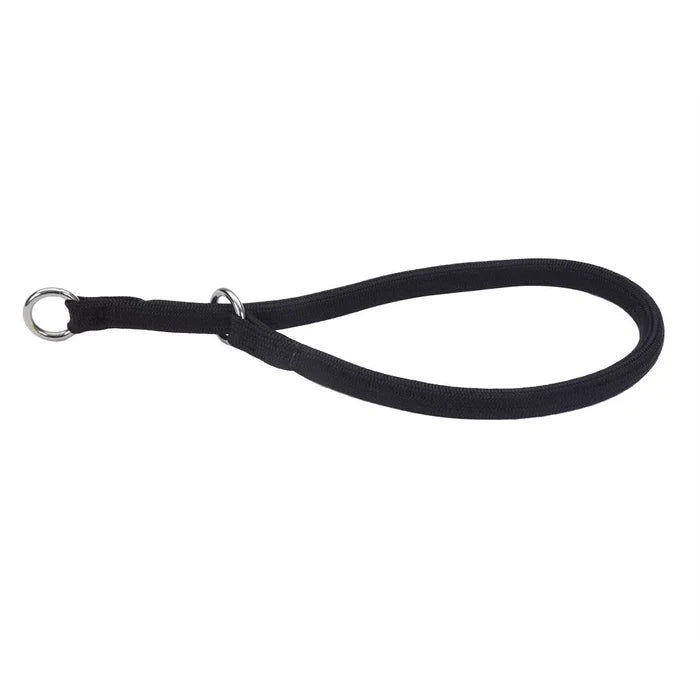 Coastal Round Nylon Dog Training Collar