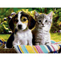 Dog And Cat Diamond Painting Kit - DIY