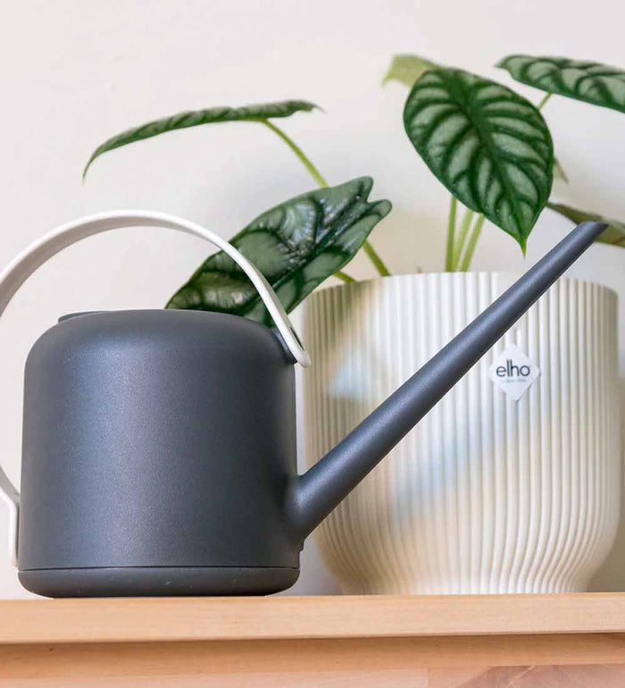 Elho Watering Can