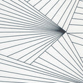 Fan Navy White Wallcovering