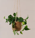 Jute Hanging Pot