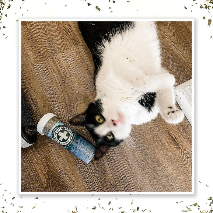 Meowijuana Feline Frost Catnip Blend