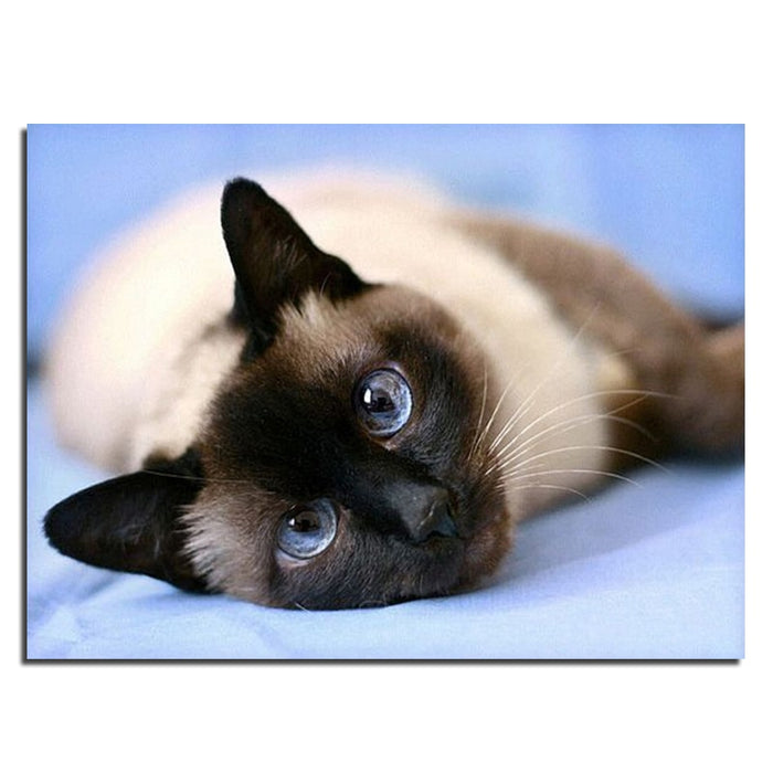 Sleeping Cat Diamond Painting Kit - DIY