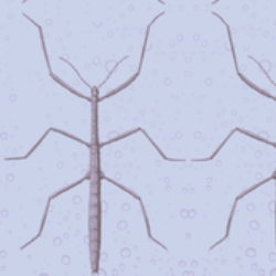 Stickbug Lavender Smoke Bubbles Fabric