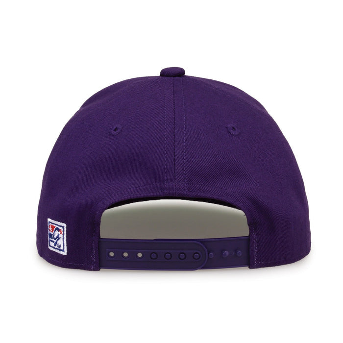 TCU Horned Frogs Retro Circle Snapback - Purple, alternate view 3