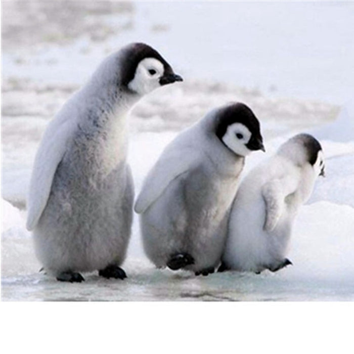 Three Lovely Penguins Diamond Painting Kit - DIY