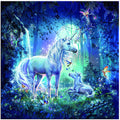 Unicorn and Fairy Diamond Painting Kit - DIY