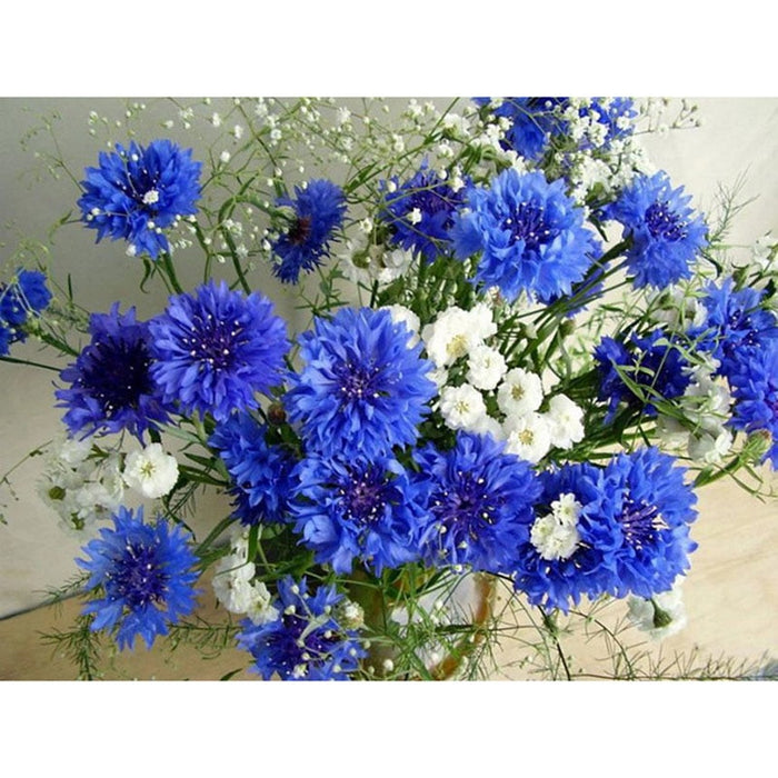 White and blue flowers Diamond Painting Kit - DIY